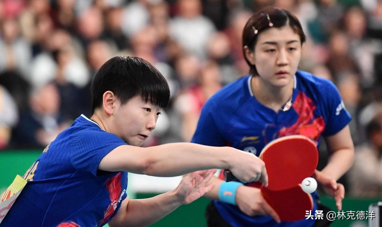 央视体育女排直播视频录像,央视体育男篮直播在线观看