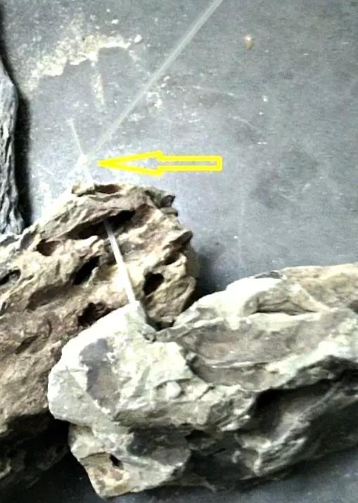 草缸造景教程：胶水造景太温柔，男人就该上电钻