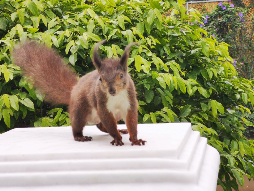 百万葵园二日游最佳路线图,广州百万葵园春天旅游攻略