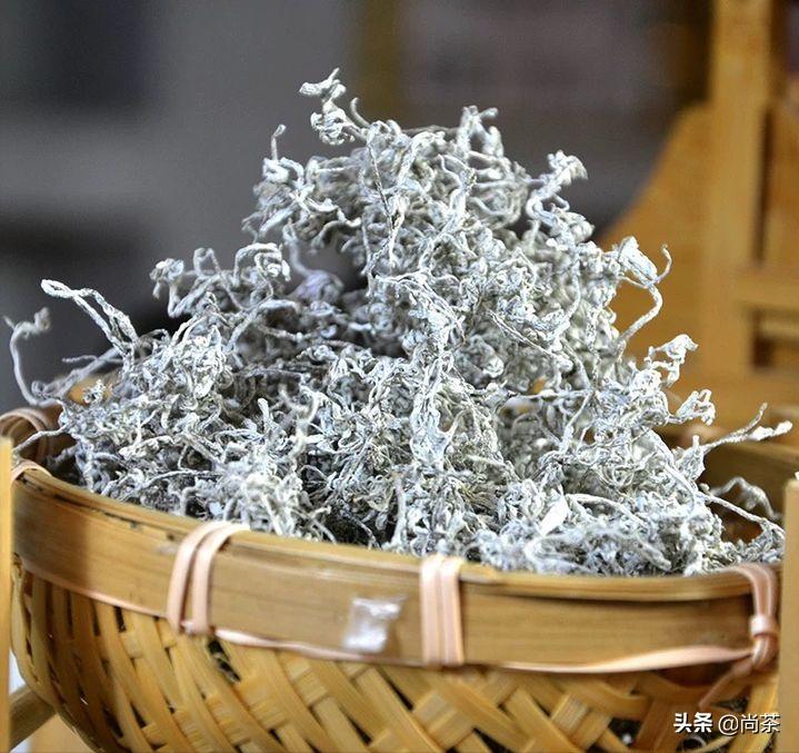 龙须茶大名叫什么茶好听,龙须茶是什么茶种