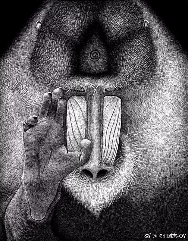 简单针管笔手绘花,简单易学针管笔手绘