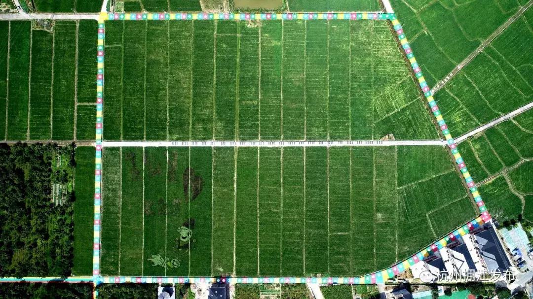 钱塘江出现巨幅画作,钱塘江大潮图片绘画