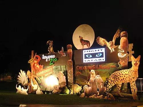 新加坡动物园免费攻略,新加坡夜间动物园游玩攻略