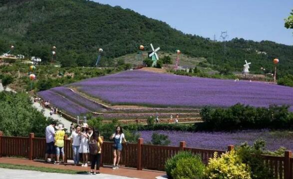 大连18家a级景区免费游,大连近期可玩的优惠景点