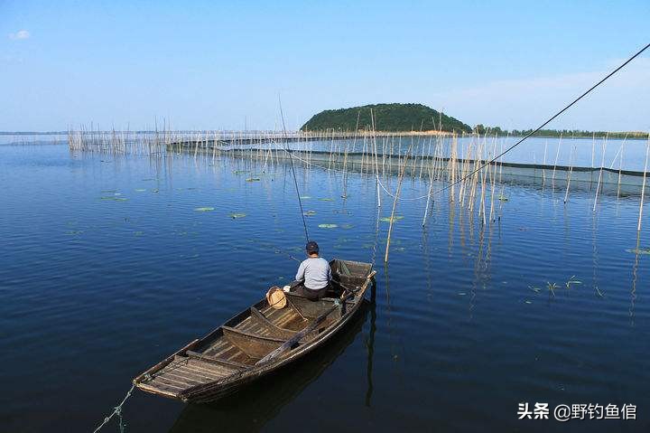 钓鲢鱼，千万别等黑漂再提竿（附手绘鲢鱼咬钩图）