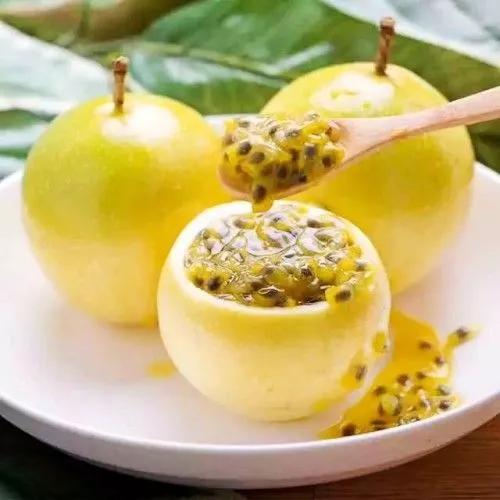 广西梧州最好的果园,梧州摘水果的地方