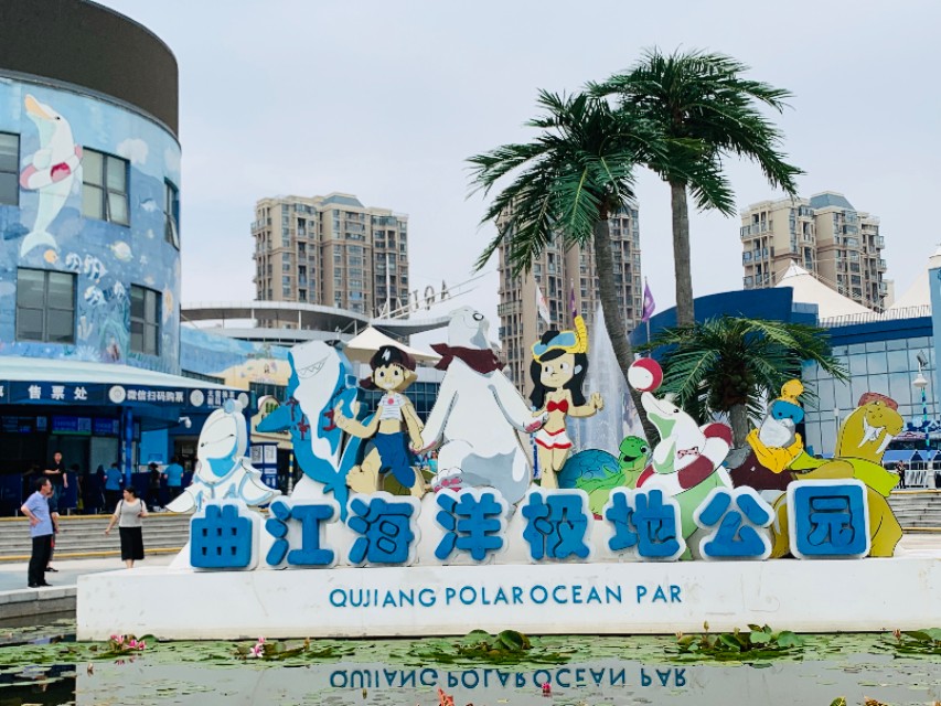 没有对比就没有伤害人类和动物,没有对比就没有伤害全运会