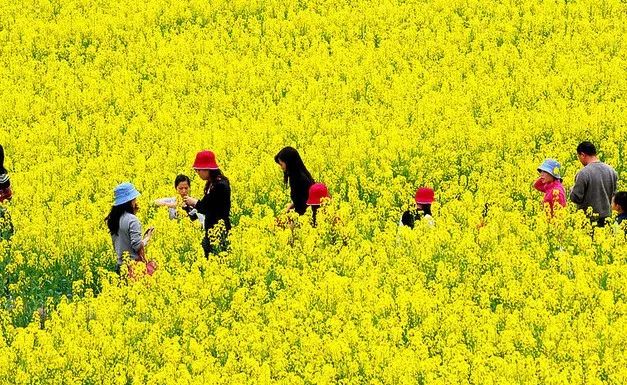 郑州发展的最新规划,郑州改名中州好吗