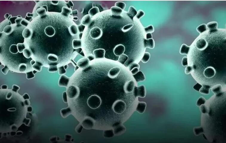 新加坡籍的人在中国生病如何回去,新加坡人在中国生病了怎么办