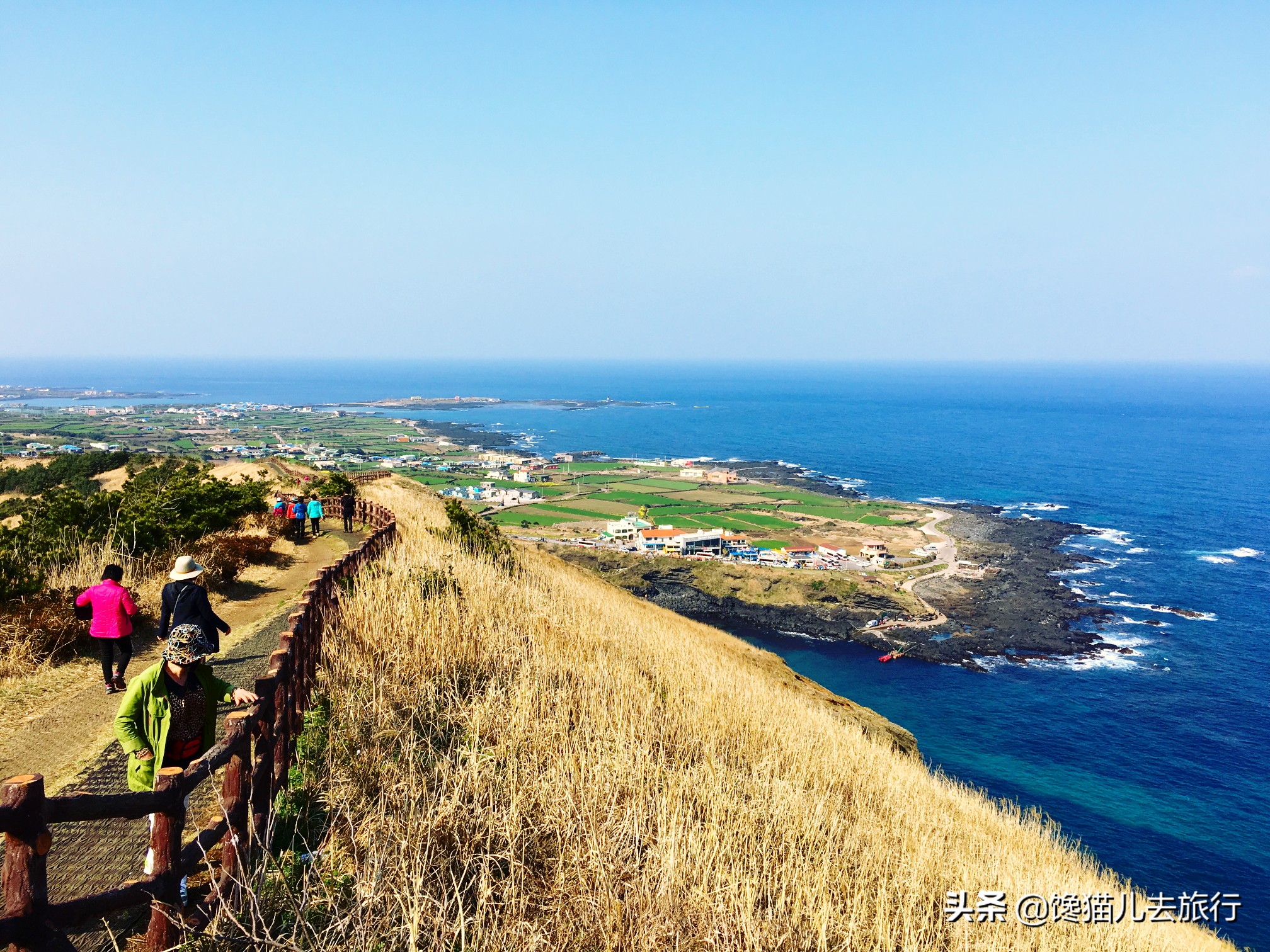 韩国人“看上”青岛，网友：对不起，我们不约