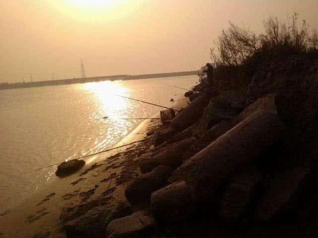 盐沟里钓“光鱼”，体形似胡萝卜，有点虎头蛇尾的感觉