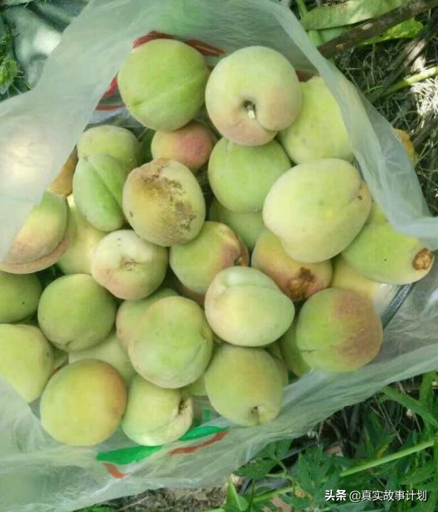 隐居终南山每月花多少钱,现代隐居怎么赚钱