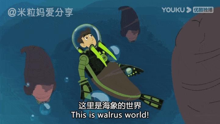 孩子不可错过的6部科普动画片,看完这8部科普动画