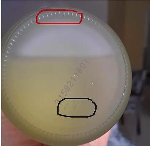 230ml神仙水外包装真假鉴别,sk2神仙水中样包装盒真假鉴别