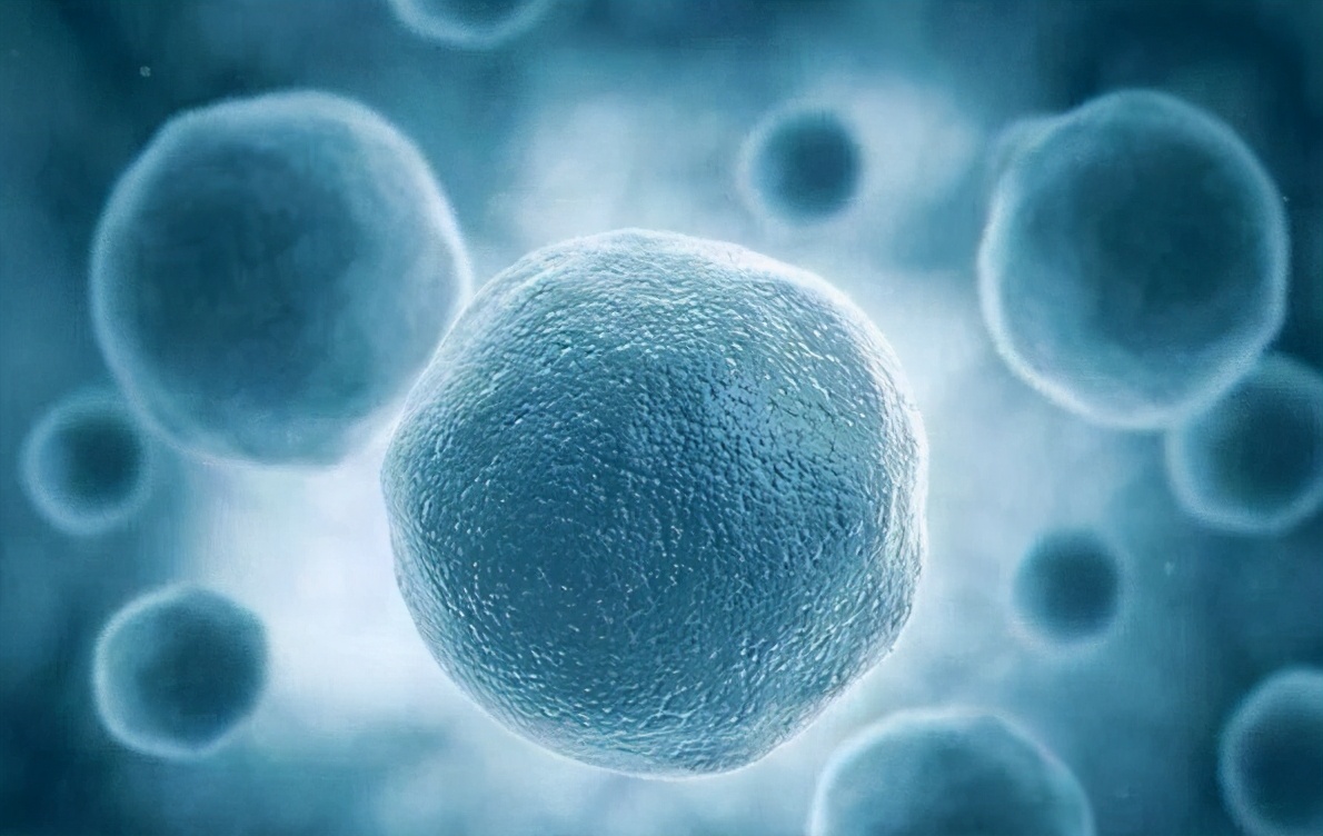 手术后需要静养多少天,手术之后休息注意事项