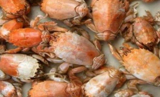 山东日照美食有哪些,山东日照特色美食前十名有哪些