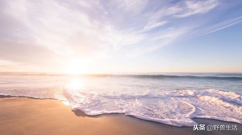 这4种维生素80%人非常缺,三秒判断出缺哪种维生素