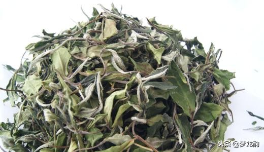 福建名茶排名前十的茶,茶知识20种中国名茶该怎么品尝