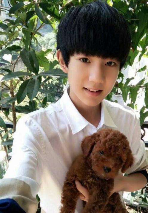 韩国exo吴世勋和朴灿烈,exo吴世勋鹿晗是亲兄弟吗