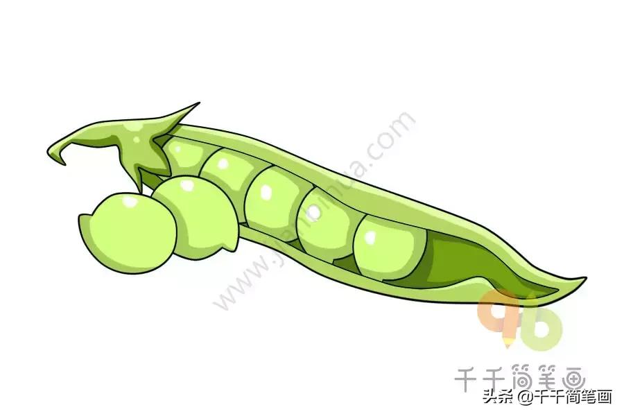 用正方形的纸做可爱的蔬菜,100种可爱蔬菜画法