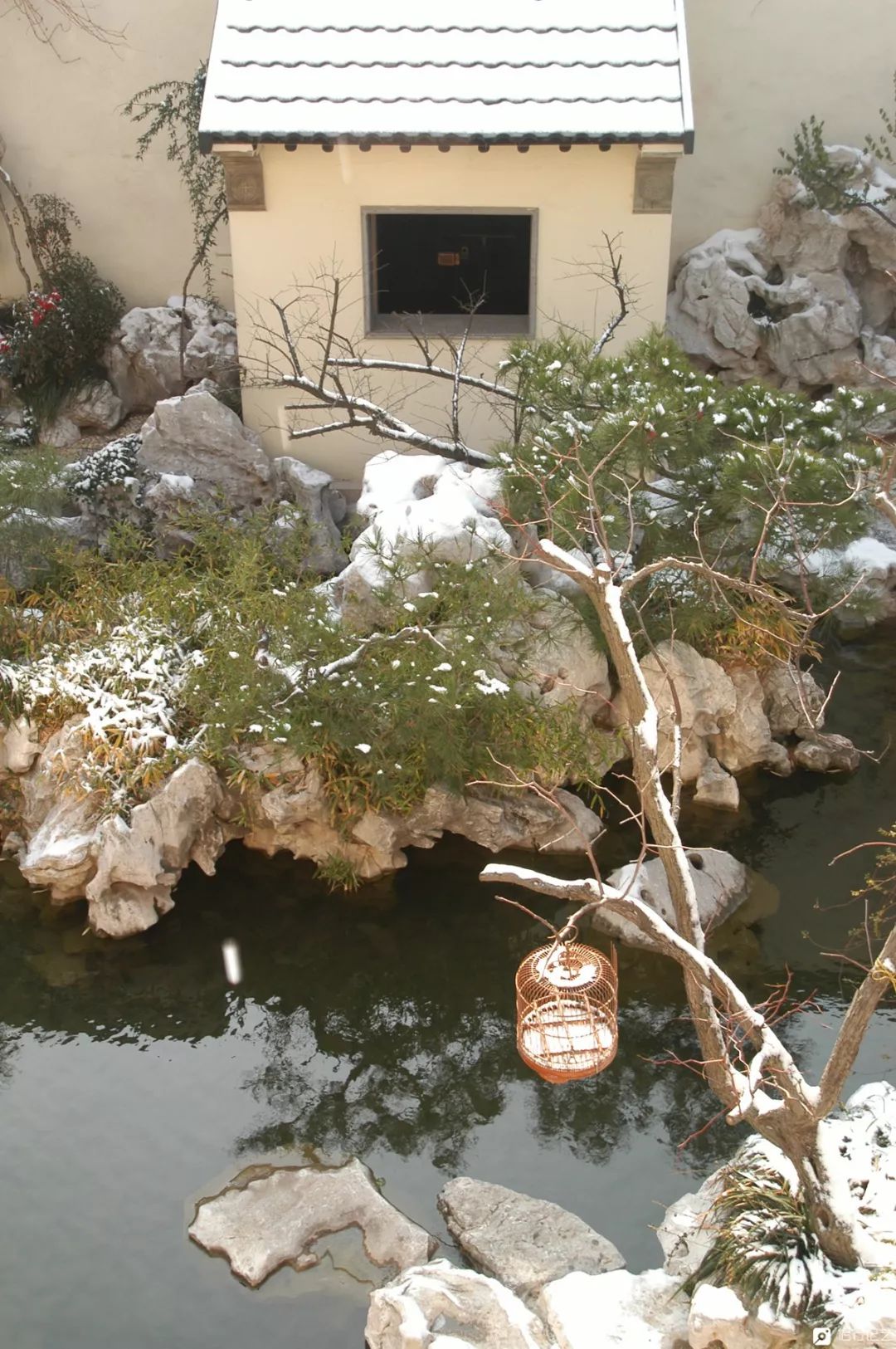 大叔花700万建的花园别墅,太湖石苏州