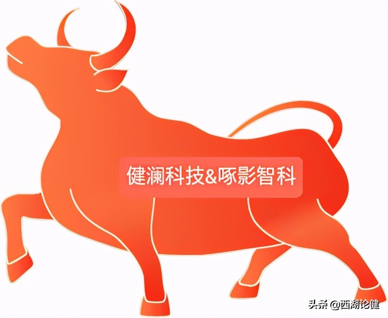 宇宙从哪里来又往何处去,宇宙从何处开始