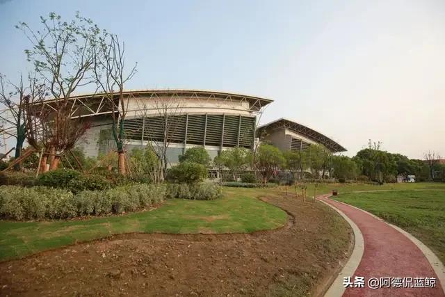 南中医怎么样,南中医专业