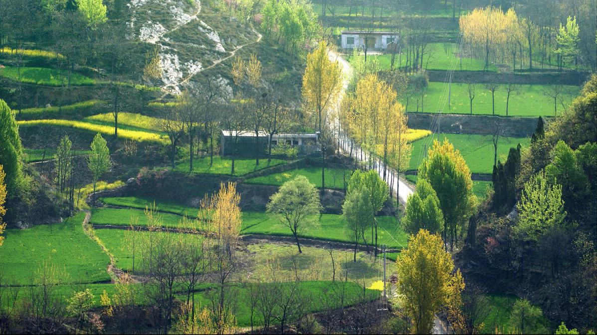 兼职代购的堂姐：当教学成为了副业，是什么把老师逼成了这样？