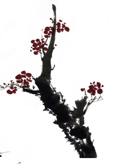 姊呰姳鍥界敾鐢绘硶鐩存挱,姊呰姳鍥界敾鍎跨鍏ラ棬