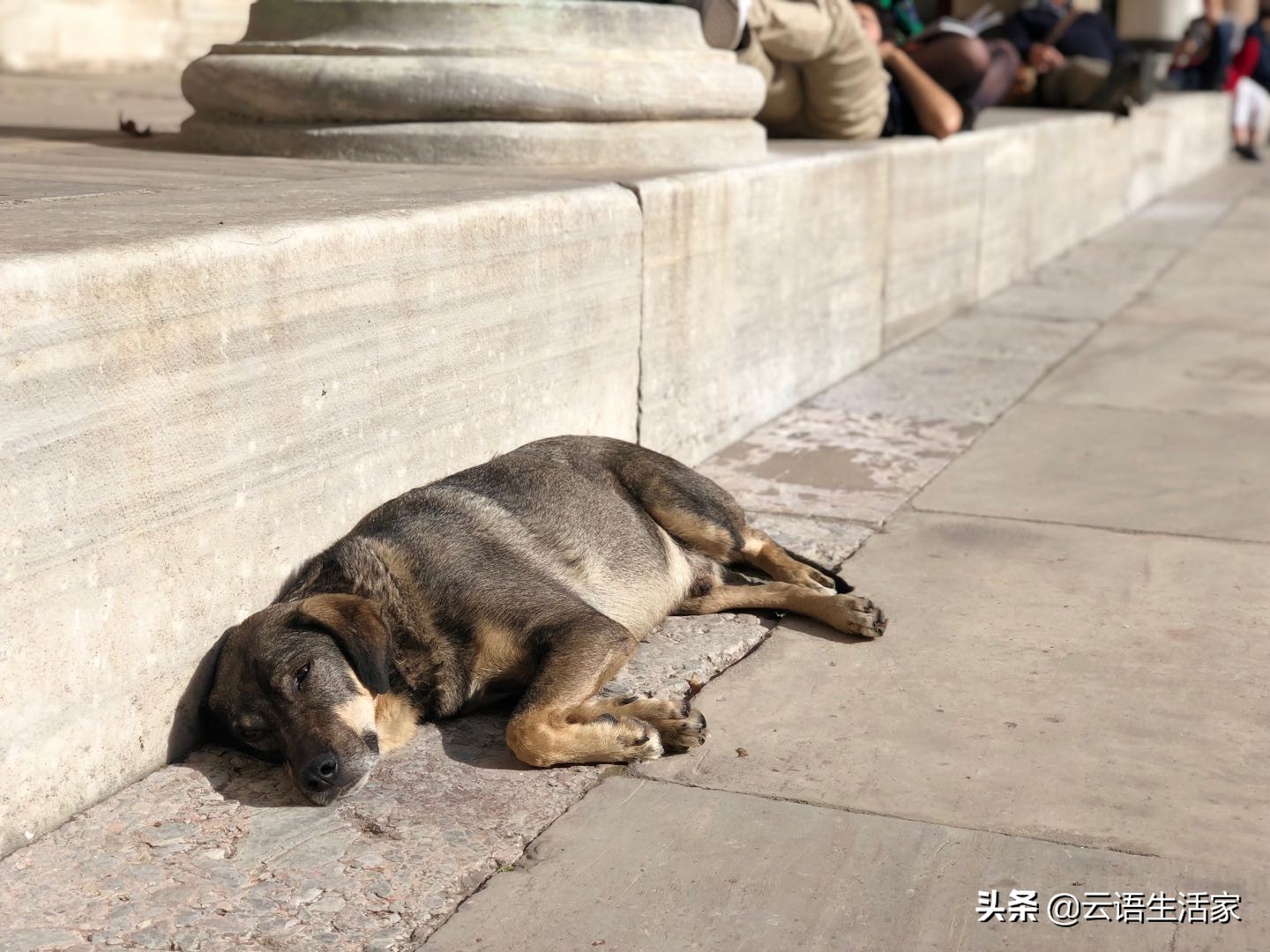 远走土耳其,我在星月之国上天入海(三)