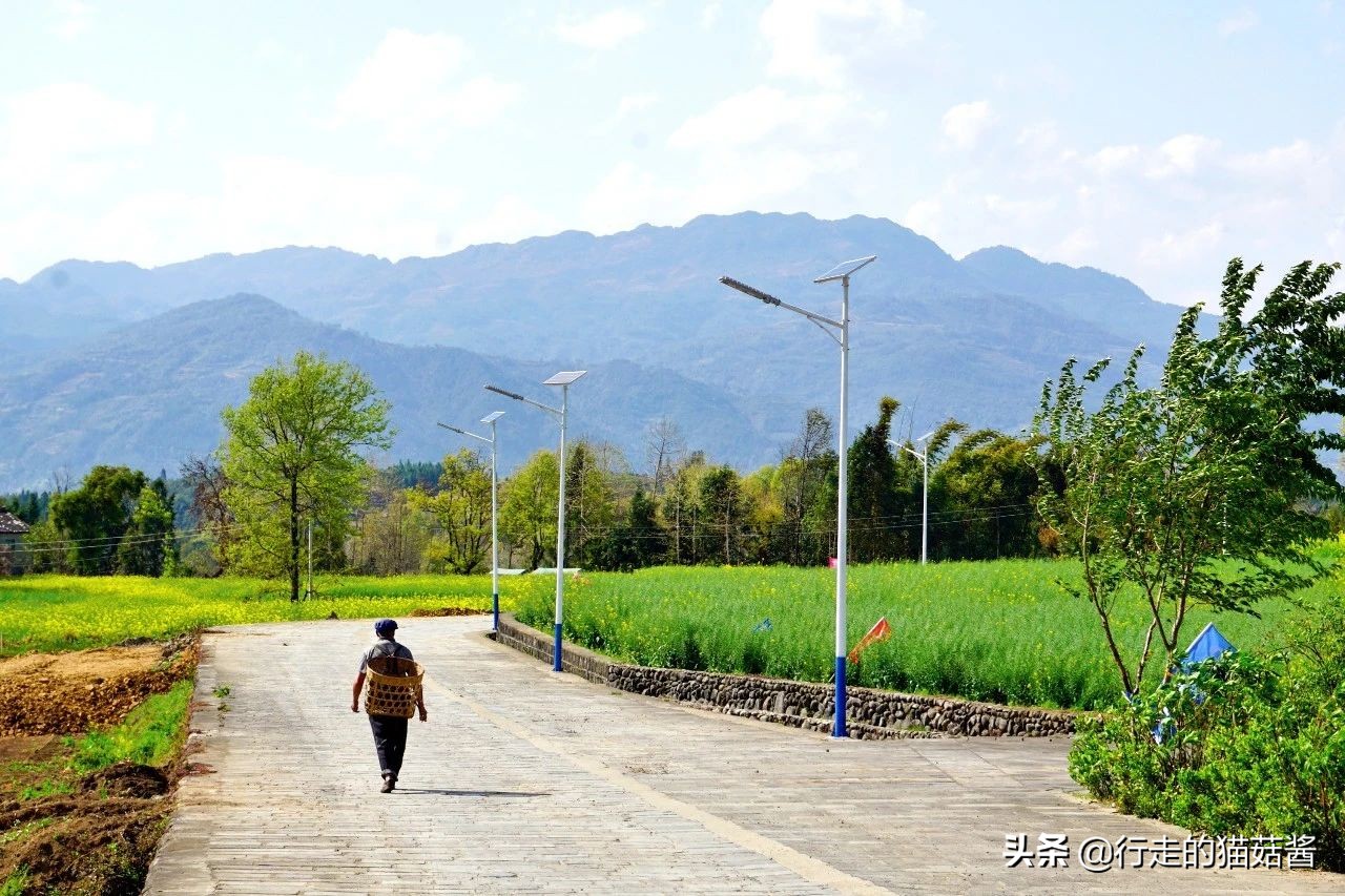 女孩第三次去腾冲,第三次去腾冲好吗