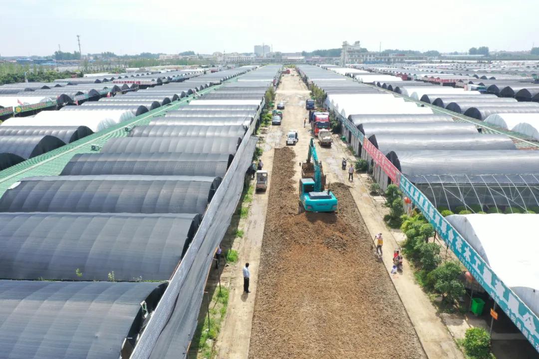 宿迁市沭阳县沭阳国际花木城,沭阳国际花木城布局