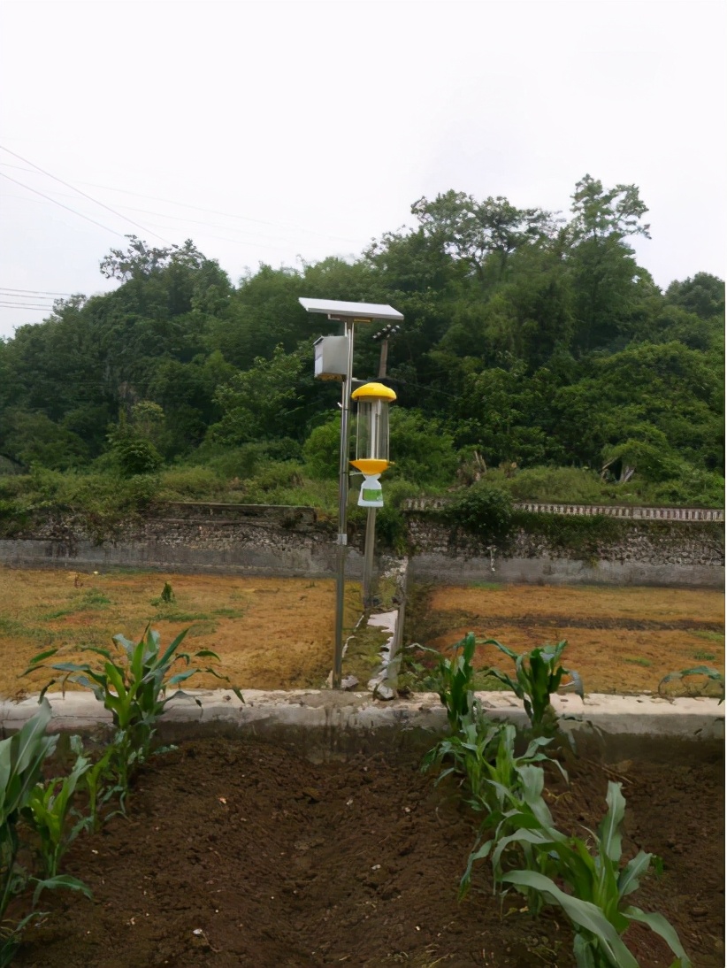 2020年江苏省草地贪夜蛾防控方案,草地贪夜蛾综合防控技术