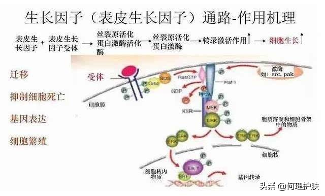 童颜针到底怎么样,美白针美白肌肤