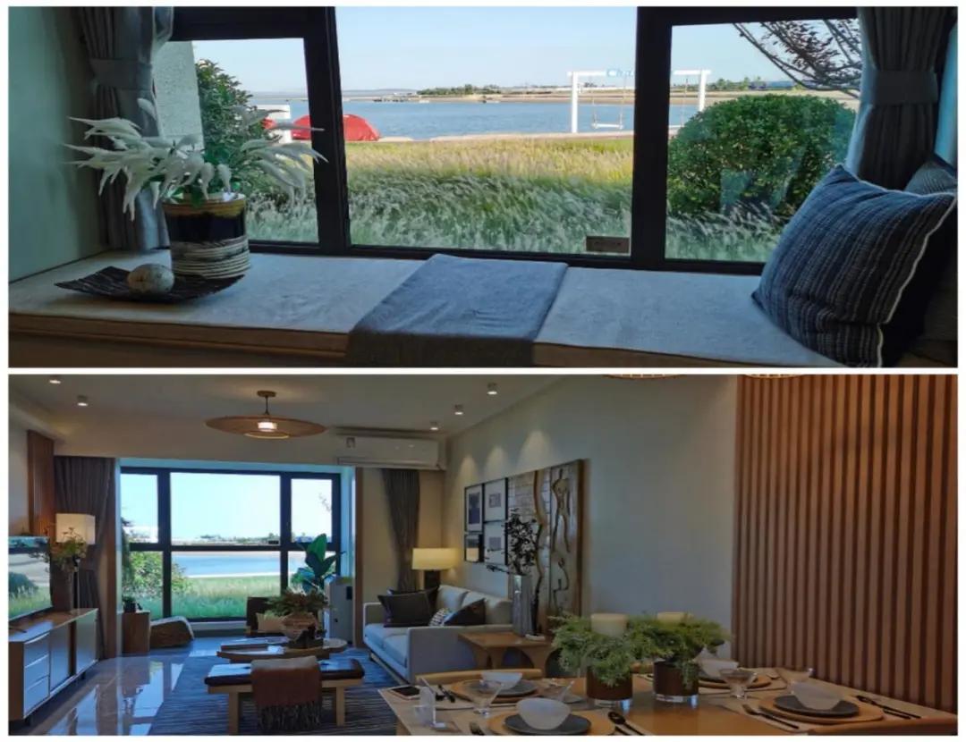 探寻北纬37度的秘密——一个向海而生的乐活小镇