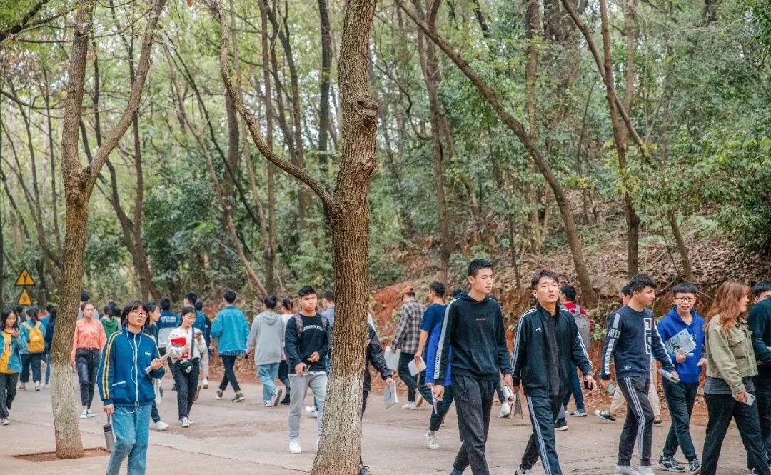 婀栧崡闀挎矙姘戞斂瀛﹂櫌,闀挎矙姘戞斂鑹烘湳瀛﹂櫌