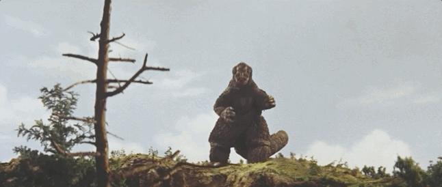 上映10天票房破10亿，哥斯拉比小栗旬更顶流