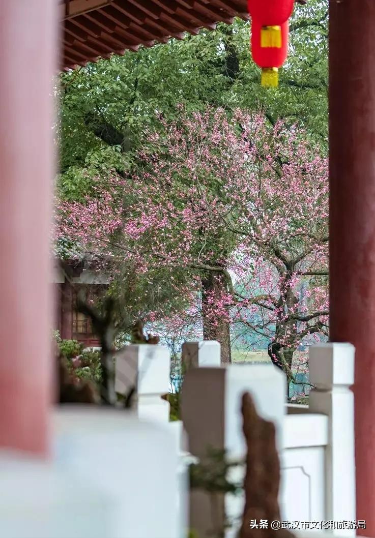 武汉人春节都去哪里玩,武汉人游玩攻略必去景点