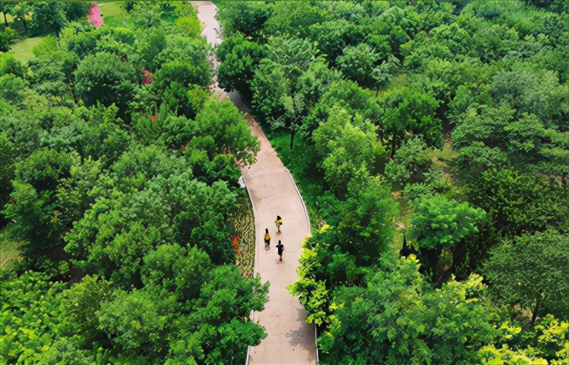 不必远行公园就在家门口合肥,不必远行公园就在家门口