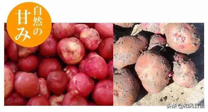 日本这个可乐饼购买后12年后才能发货，你愿意等吗？