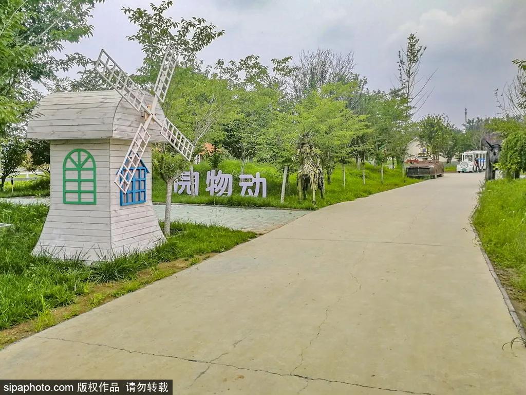 薰衣草花海真是太美了,北京薰衣草花海打卡网红地