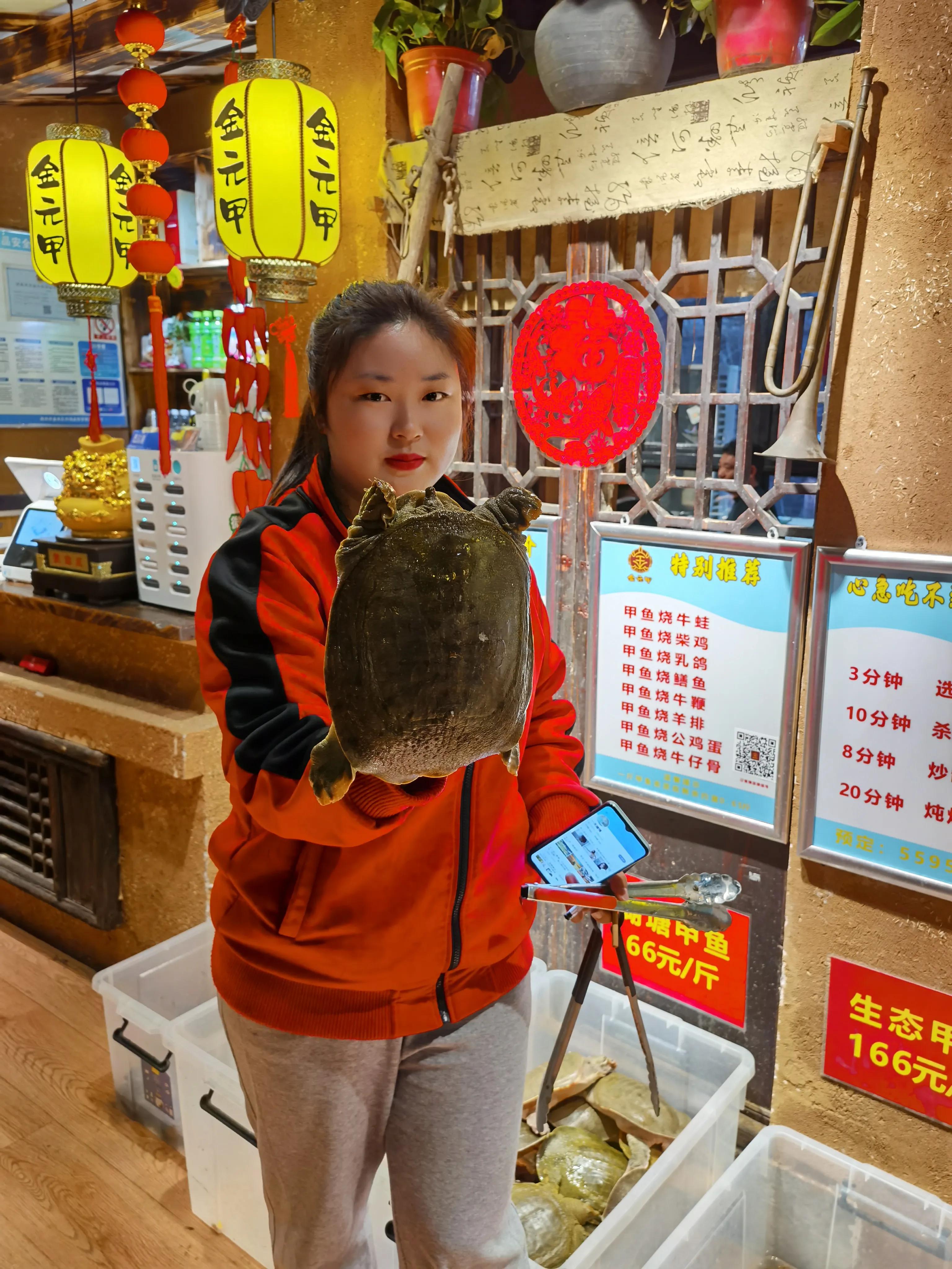 春夜2男2女在郑州金元甲甲鱼馆,吃老鳖焖牛鞭,才花500多文