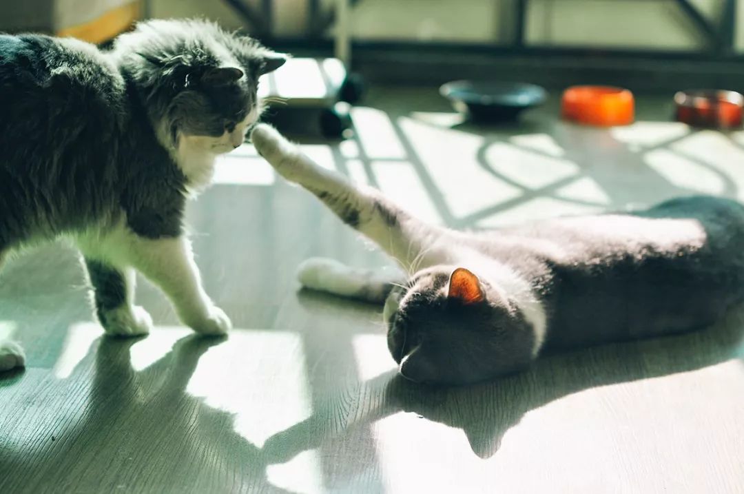 深圳富人日常生活真实记录,在深圳普通人最真实的生活状态