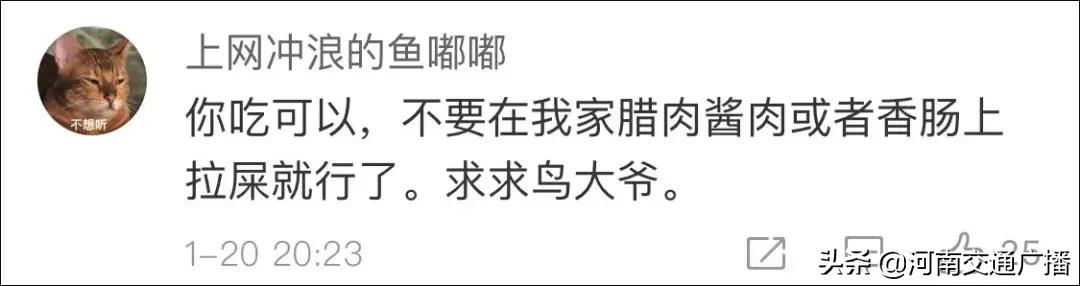 鸟儿偷吃香肠腊肉,香肠腊肉挂外面被鸟吃