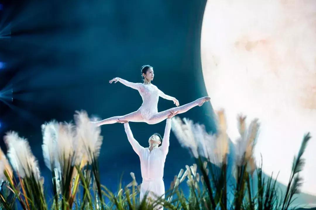 《巅峰之夜》：比顶级才艺更触动人心的，是跨越国界的共通情感