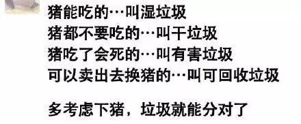 怎么知道你是什么垃圾,你是什么垃圾下一句