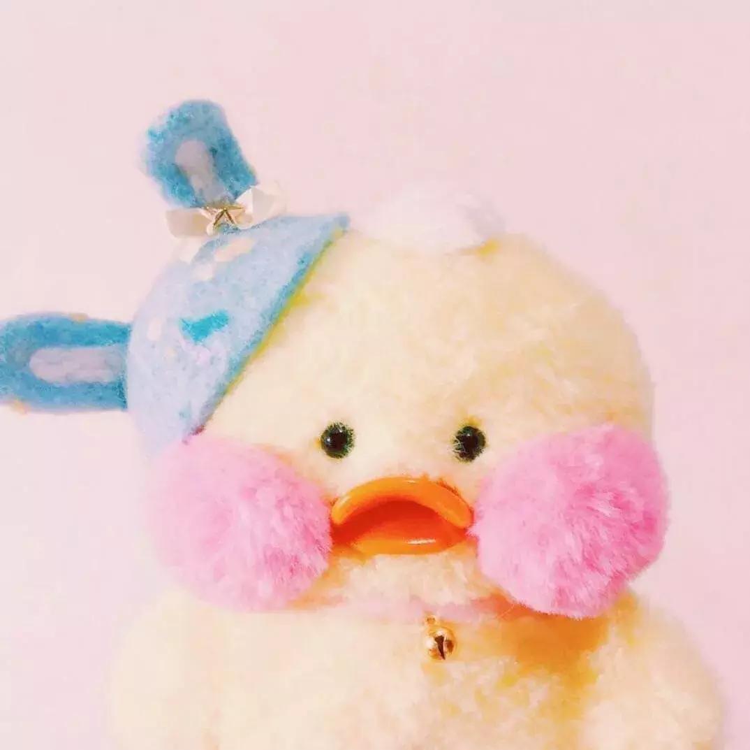 36张网红玻尿酸鸭头像图：遇见就好了，余生就算了