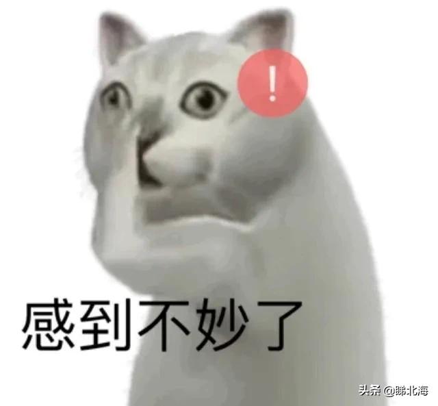 宿醉还敢上路！北海这位司机将面临驾驶证降级