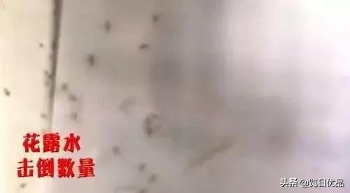 vape驱蚊喷雾驱蚊水 (vape驱蚊水哪个颜色驱蚊效果好)