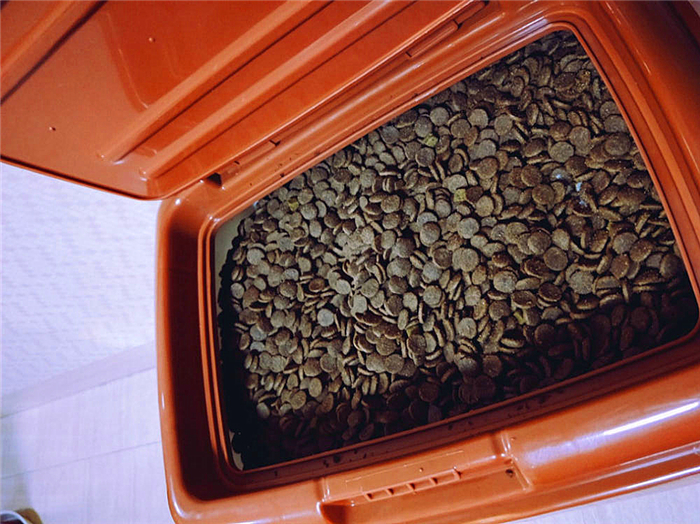 猫咪可以不吃猫粮吗只吃肉吗,猫咪不吃猫粮怎么办教你三招治疗